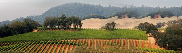 Agro Exports