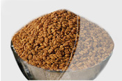 Fenugreek seeds